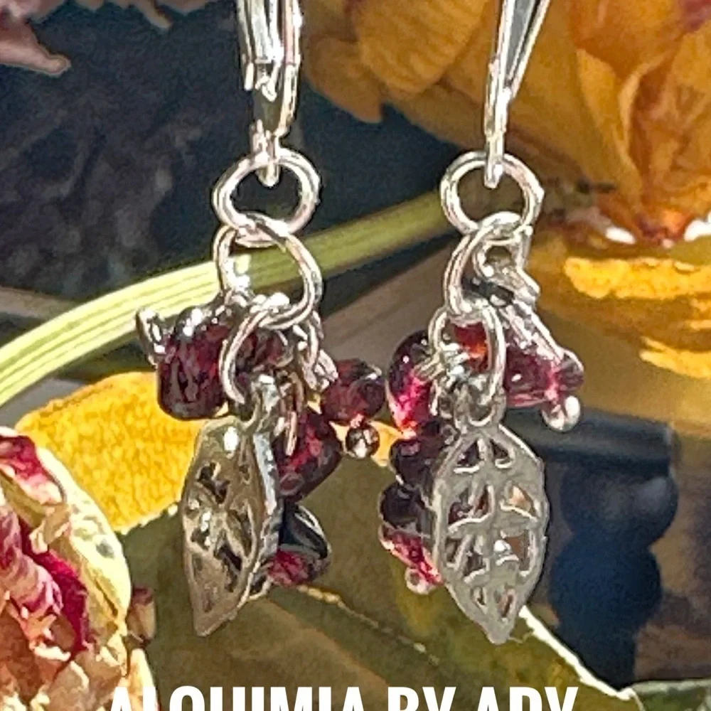 Garnet Silver and wine color Earrings